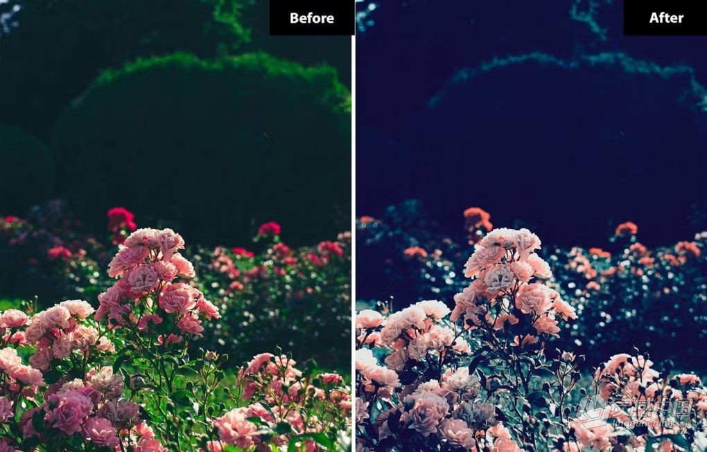 6种电影风光lr预设 6 Romantic Garden Editorial Lightroom Presets  灵感中国网 www.lingganchina.com