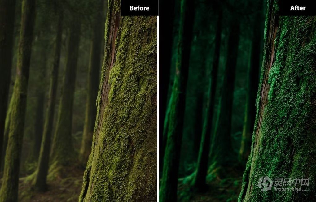 森林绿电影风光后期调色LR预设 6 Forest Green Lighroom and Photoshop Presets  灵感中国网 www.lingganchina.com