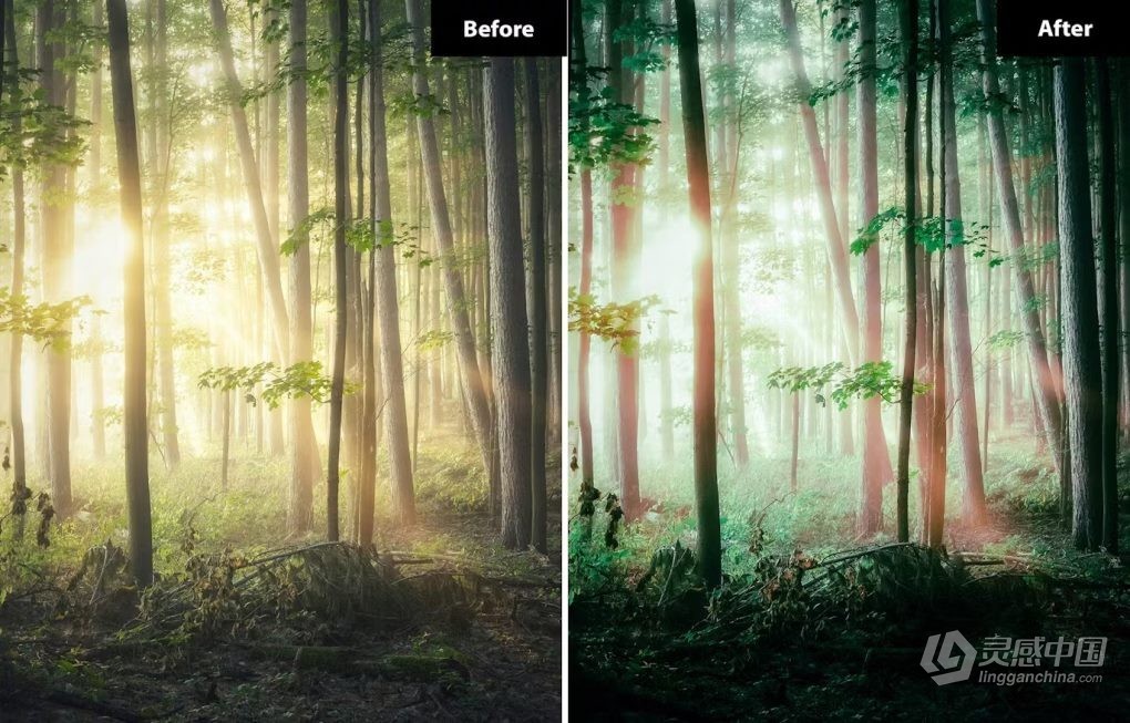 森林绿电影风光后期调色LR预设 6 Forest Green Lighroom and Photoshop Presets  灵感中国网 www.lingganchina.com