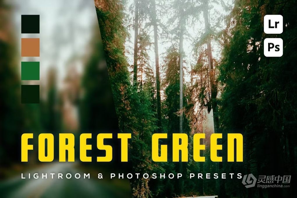 森林绿电影风光后期调色LR预设 6 Forest Green Lighroom and Photoshop Presets  灵感中国网 www.lingganchina.com