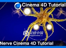 C4D神经系统建模材质渲染视频教程 Nerve Cinema 4D Tutorial