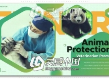 时尚图形宠物医院医疗图文展示包装片头AE模板