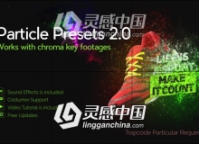 粒子沙化飞散汇聚消融特效预设AE模板 Videohive Particle Presets