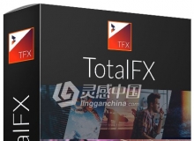 视觉特效转场调色字幕磨皮美颜防抖滤镜包NewBlueFX TotalFX7 v6.0.200108 CE Win