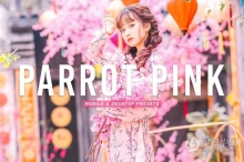 明亮粉彩古装人像调色Lightroom预设 Parrot Pink Pro Lightroom Presets