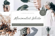 极简主义灰白调Lightroom预设 Lightroom Presets - Minimalistic White