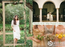 电影婚纱婚庆后期Lightroom预设 Happily Ever After Preset Collection