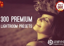 300高级超值Lightroom预设 300 Premium Lightroom Presets Bundle