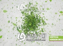 众多绿色树叶汇聚LOGO标志片头AE模板 Videohive Green Eco Logo Reveal