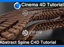 C4D木制脊柱建模材质渲染视频教程 Abstract Spine Cinema 4D Tutorial