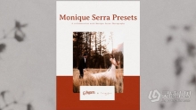 摄影师 Monique Serra 艺术婚礼lr预设 G-Presets - Monique Serra Presets