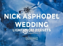 磨砂婚礼Lightroom预设 Nick Asphodel Wedding Lightroom Presets