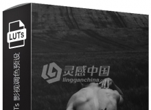 仿真黑白电影胶片 3D LUTs 影视调色LUTs预设 BLACK & WHITE FILMS 3D LUTS