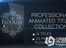 漂亮藤蔓生长文字字幕婚礼标题动画AE模板 Videohive Flourish Titles Collection