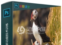 Photoshop CC 2020新功能技术训练视频教程