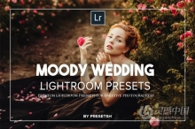 LR预设 情绪电影婚礼LR预设Moody Wedding Lightroom Presets