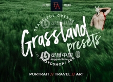 肖像风景旅游和婚礼摄影ACR预设 Grassland ACR Presets