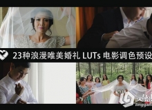 23种浪漫唯美婚礼 LUTs 电影调色预设 LAPARDIN WEDLUTS