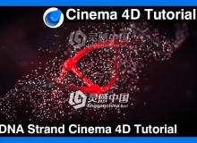 C4D制作DNA粒子效果视频教程 DNA Strand Cinema 4D Tutorial