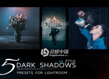 5组黑暗忧郁风格LR预设 5 Lightroom Presets in dark tones