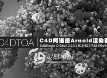 C4D阿诺德Arnold渲染器 SolidAngle C4DtoA 2.1.0.1 R16/R17/R18 Win/Mac