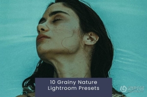 10种颗粒感电影胶片lr预设 10 Grainy Nature Lightroom Presets