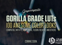 灰猩猩100种 LUTs 电影调色预设 GreyScaleGorilla – Grade LUTs