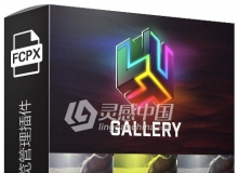 FCPX插件-LUTS调色预设预览管理插件 LUT Gallery V1.1