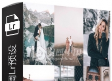 德系婚纱胶片色调Lightroom预设下载 DukeMoose Lightroom Presets