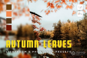 秋季风光摄影后期Lightroom预设 6 Autumn Leaves Lighreoom and Photoshop Presets