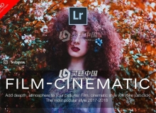 128组电影颗粒胶片Lightroom预设 胶片LR预设 120+ Film Lightroom Presets