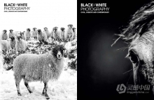 黑白摄影 [ Black + White Photography ] 2021 合集 / 12本 / PDF