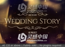 梦幻优雅金色粒子浪漫婚礼视频开场AE模板 Wedding Pack