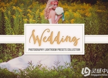 45组唯美浪漫婚礼爱情故事摄影Lightroom预设 Wedding Lightroom Presets Collection