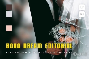 6种波西米亚婚礼人像lr预设 Boho Dream Editorial Lightroom Presets