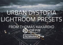 摄影师Thomas Kakareko城市/街道/肖像Lightroom预设