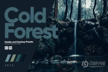 ARTA Presets- 黑暗森林风光调色lr预设 Cold Forest Presets for Lightroom