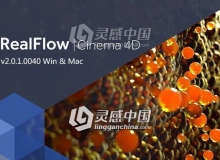 C4D流体模拟插件 Nextlimit Realflow For Cinema 4D v2.0.1.0040 Win/Mac