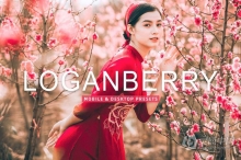 明亮电影胶片感人像调色Lightroom预设 Loganberry Lightroom Presets