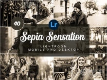 棕褐色街拍电影胶片Lightroom预设与移动版APP预设 Sepia Sensation Mobile PRESETS