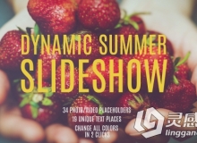 动感夏季时尚旅行摄影幻灯片AE模板 Videohive Dynamic Summer Slideshow