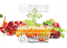 水果蔬菜食物LOGO展示片头AE模板 Videohive Healthy Food Opener