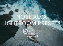 冒险/旅行温暖生活摄影Lightroom预设 Noel Alva Lightroom Presets