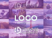 图文展示揭示LOGO AE模板 videohive Logo Intro 20794112