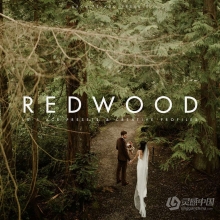 部落群岛-REDWOOD LR/ACR 预设 + 配置文件 Archipelago - Redwood Presets