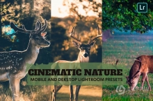 高品质电影自然风光Lightroom预设 Cinematic Nature Lightroom Presets Dekstop Mobile