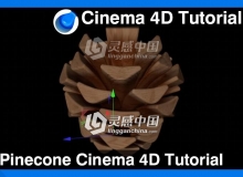 C4D松果建模材质渲染视频教程 Pinecone Cinema 4D Tutorial