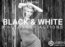 PS高级黑白调色动作 Black & White Photoshop Actions