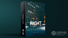 ARTA Presets - 城市夜景街拍电影风光LR预设 ARTAPresets Night Lightroom Presets