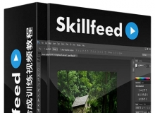 PS图层特效合成训练视频教程Skillfeed Mastering Photoshop Layers the Key to Eff...